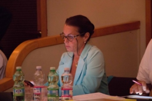 Elizabeth Norberg-Schulz at work.